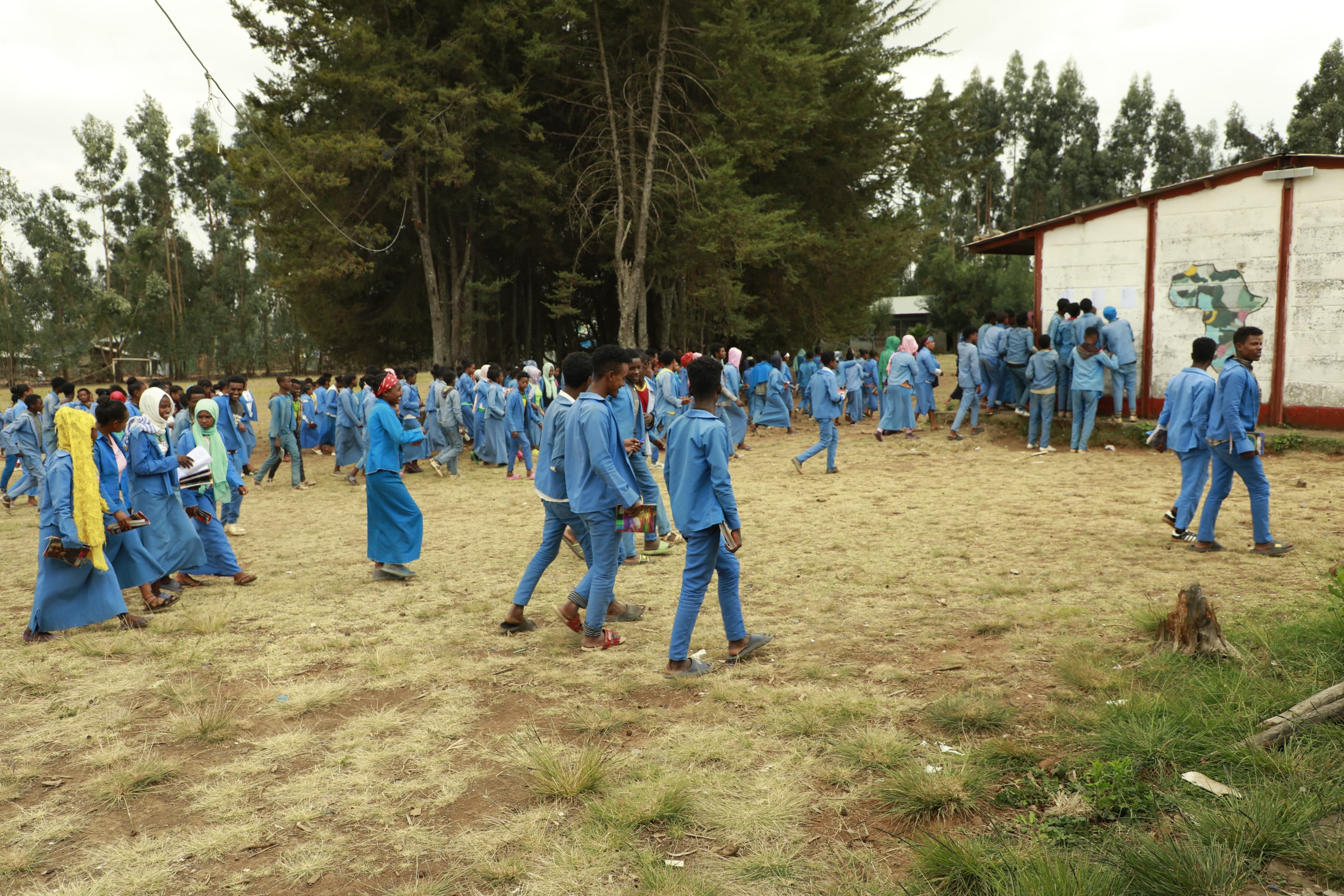 Students looking towards the future
